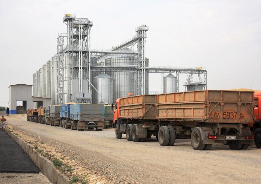 Машины везут зерно на элеватор
