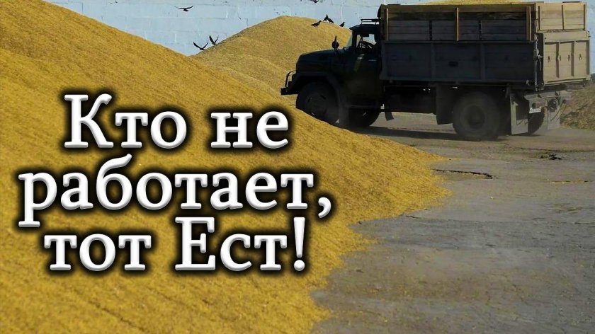 Машина с зерном