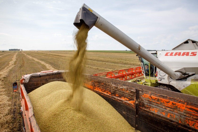 Погрузка зерна