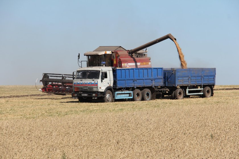 Зерновозы КФХ Деревянко