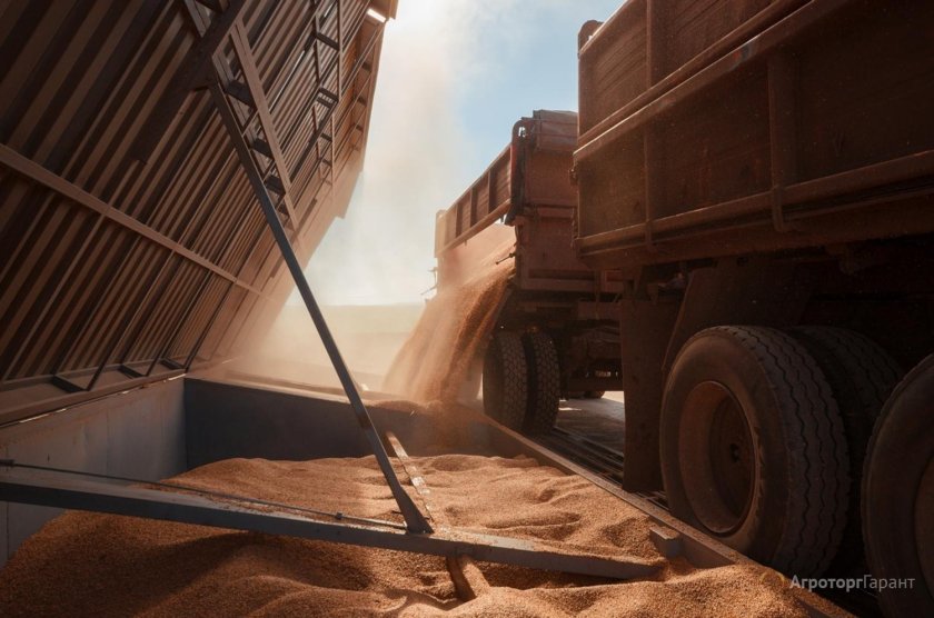 Отгрузка зерна