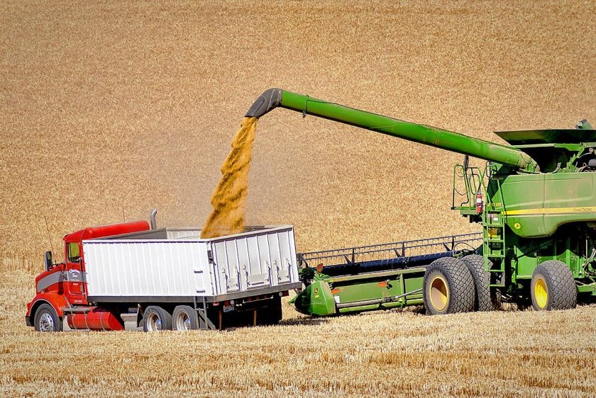 Уборка зерна