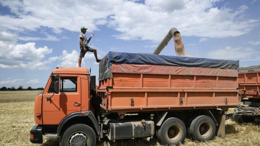 Вывозка зерна