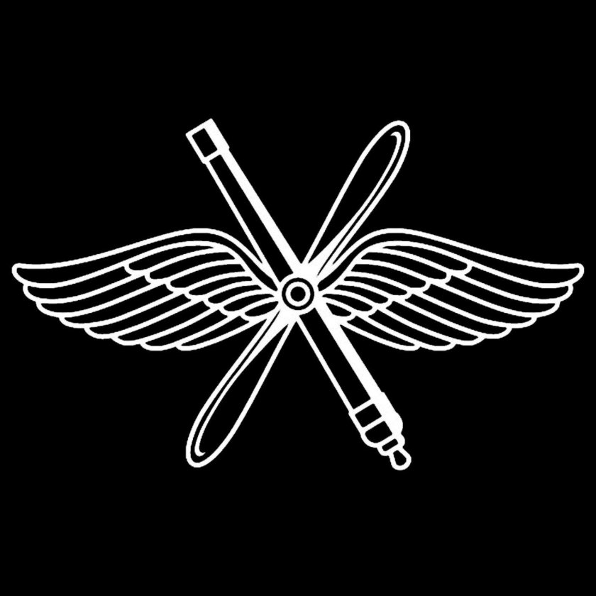 Эмблема ВВС