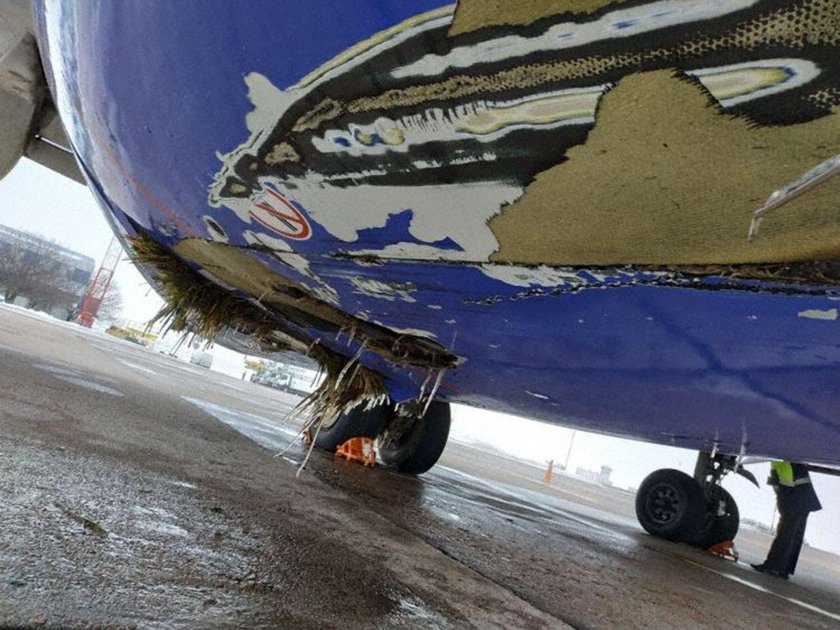 Белавиа Боинг 737 Макс