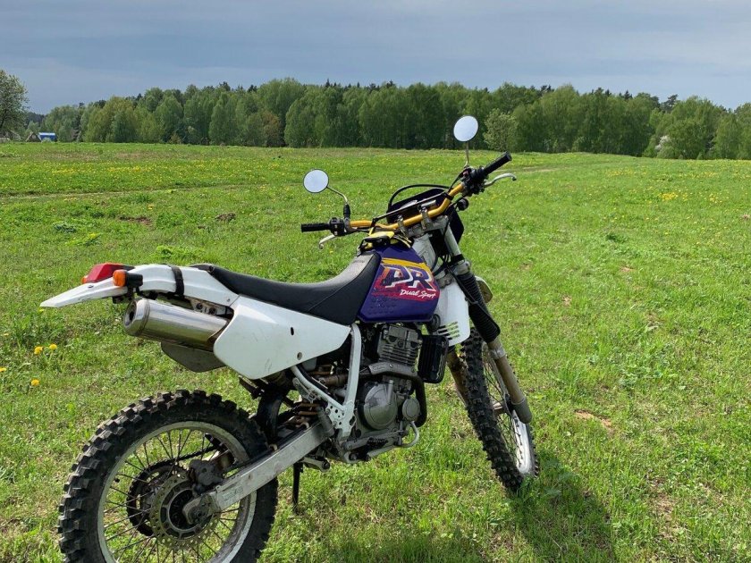 Suzuki Dr 250