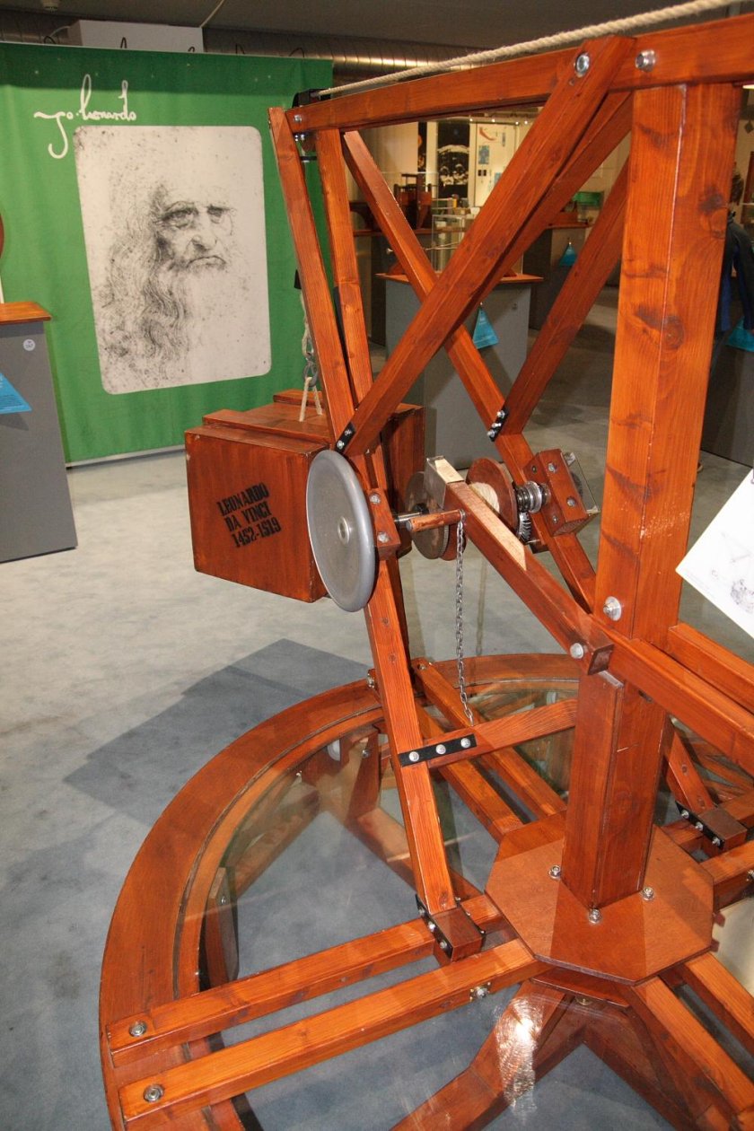 Бухтовщик сдвоенный