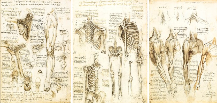 Да Винчи изобретатель