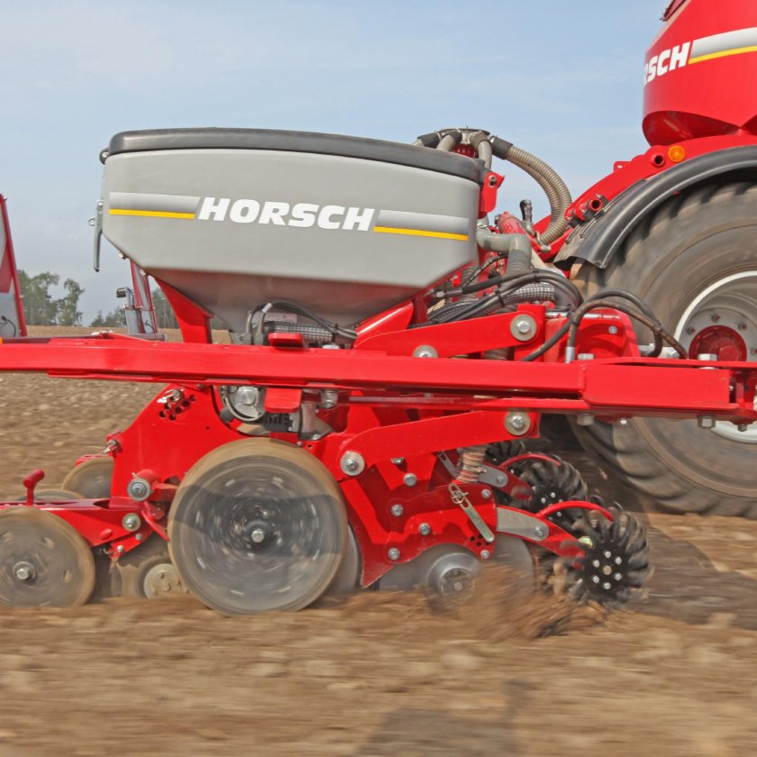 Хорш маэстро 8