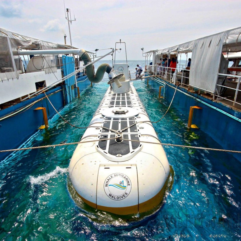 Whale Submarine Мальдивы