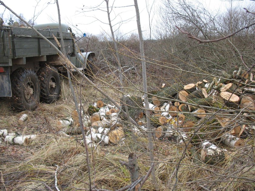 ЗИЛ С дровами