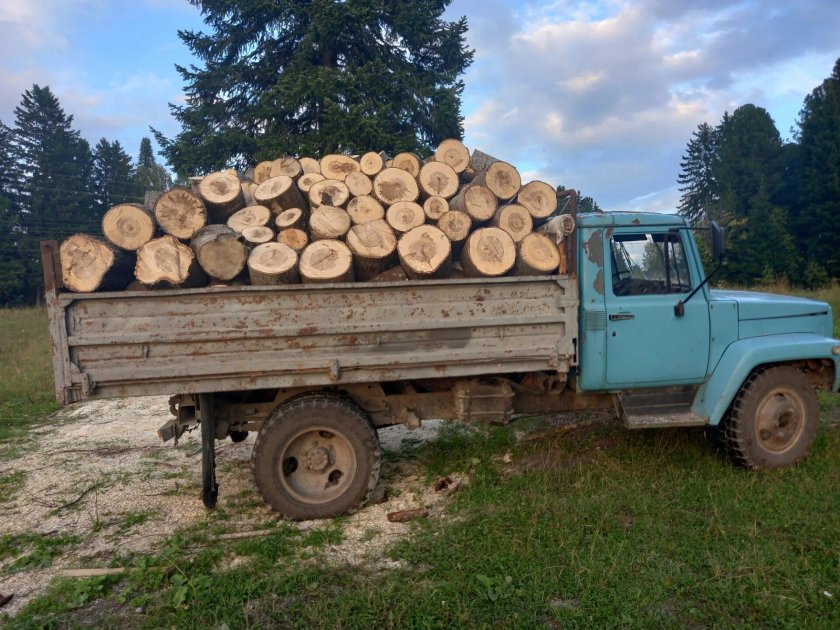 Трактор в поле сено