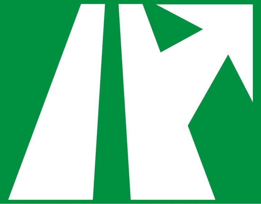 Знак автомагистраль 5.1