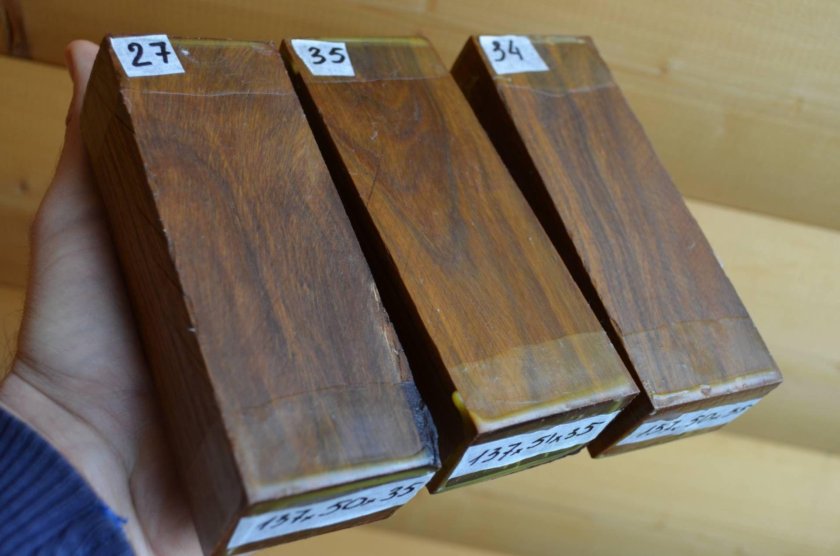 Бакаут гваяковое дерево