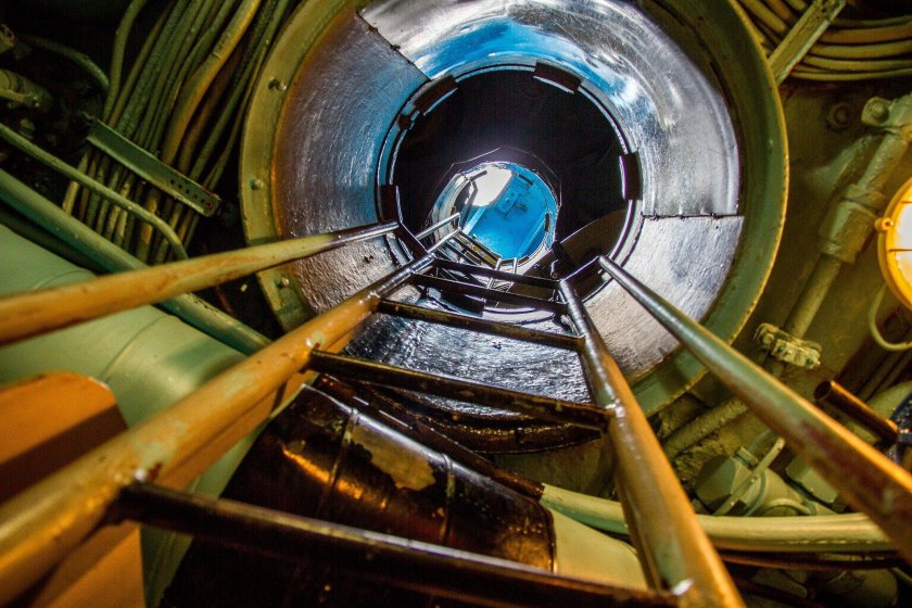 Дерево для подшипников подводных лодок