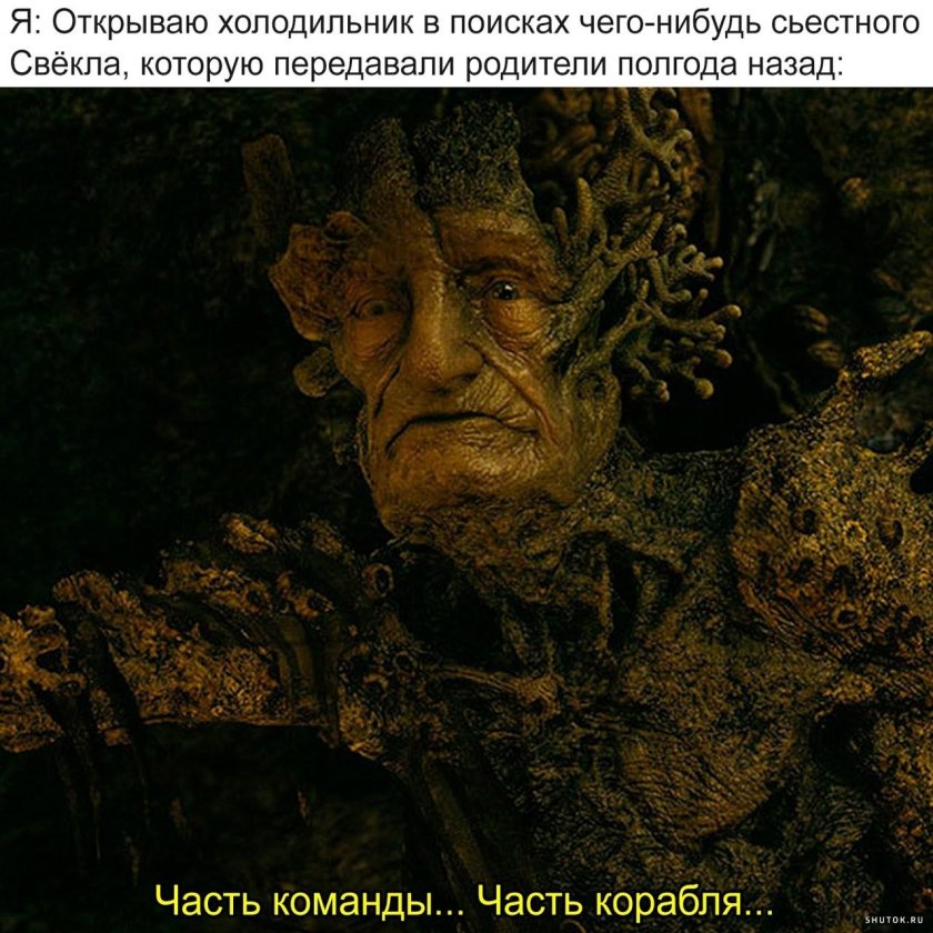 Часть команды часть корабля