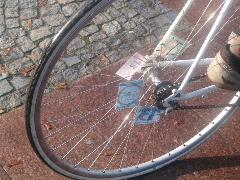 Колесо заднее фикс