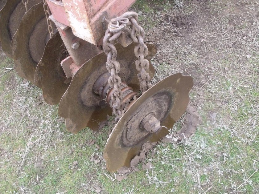 Чистик бороны БДТ-3