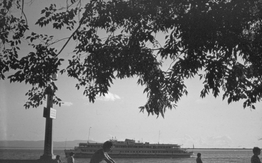 ДВВИМУ им Невельского выпуск 1978