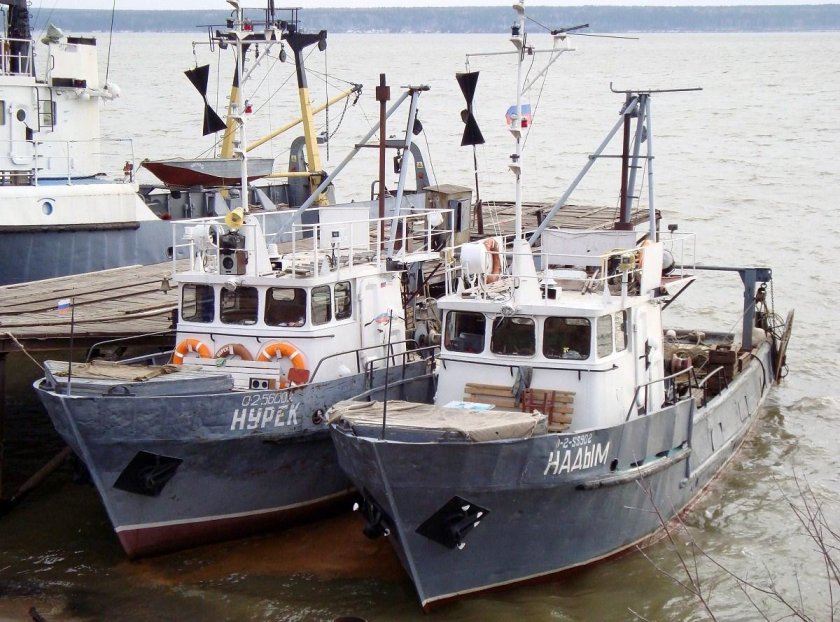 Траулер-сейнер «Василий Каплюк»