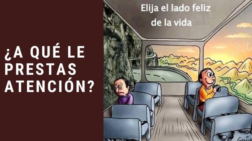 Автобус Мем