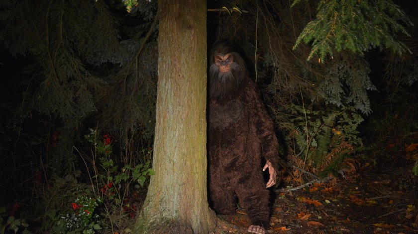 Бигфут сасквоч