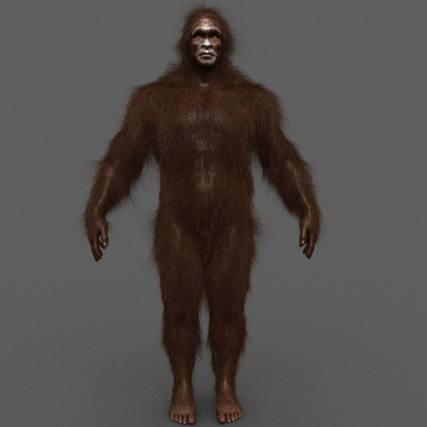 Бигфут сасквоч