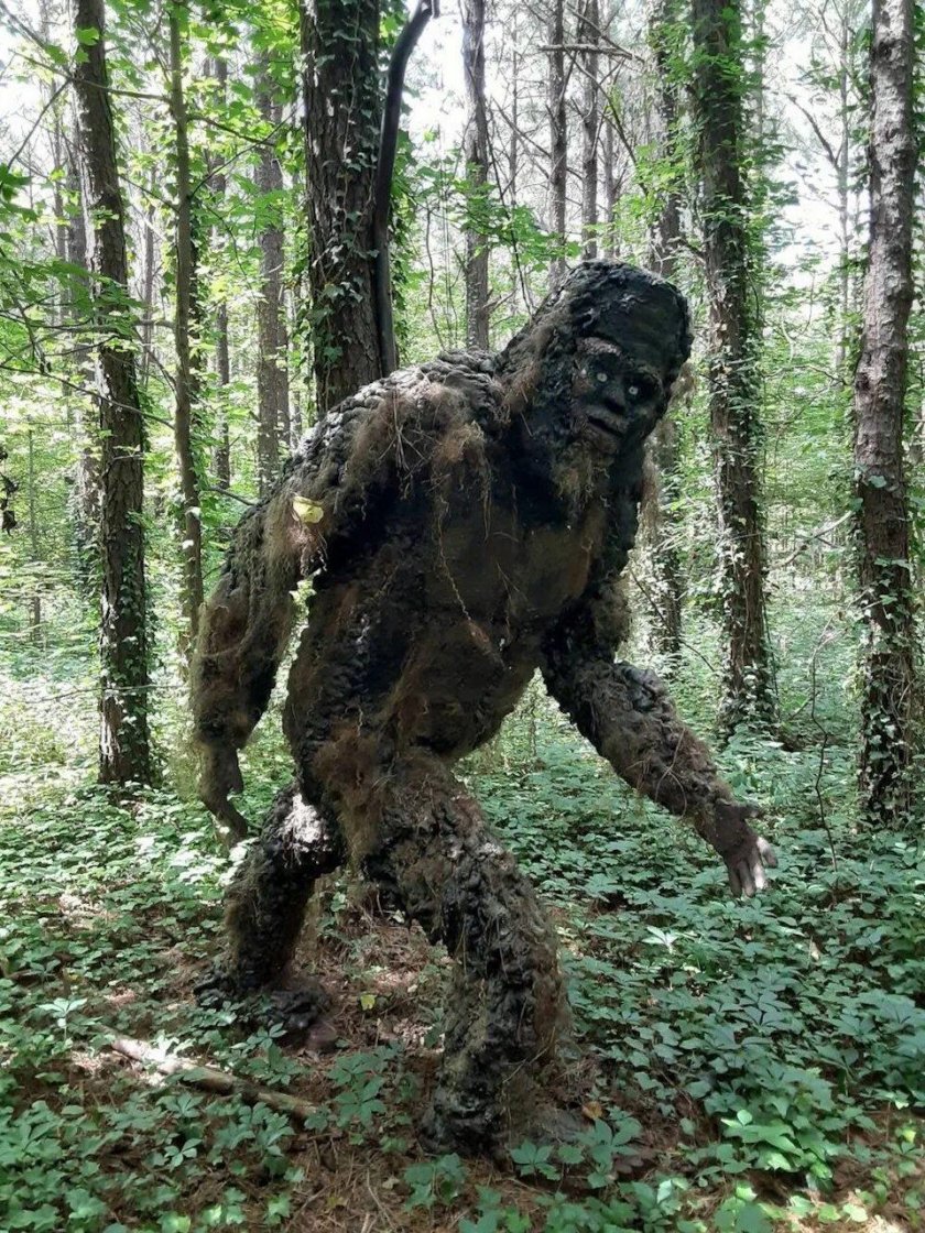Лесное чудовище фото