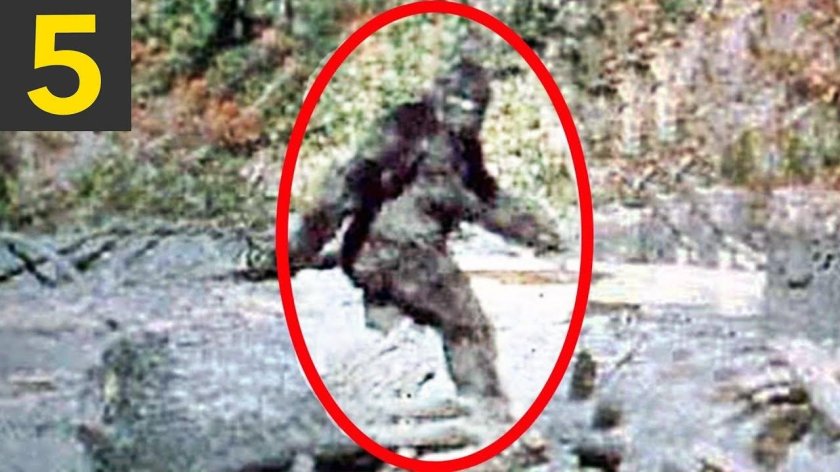 Бигфут Йети