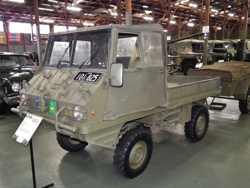 Штейр пух Хафлингер