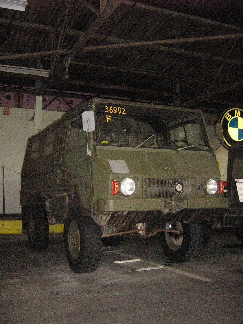 Пинцгауэр медицинский