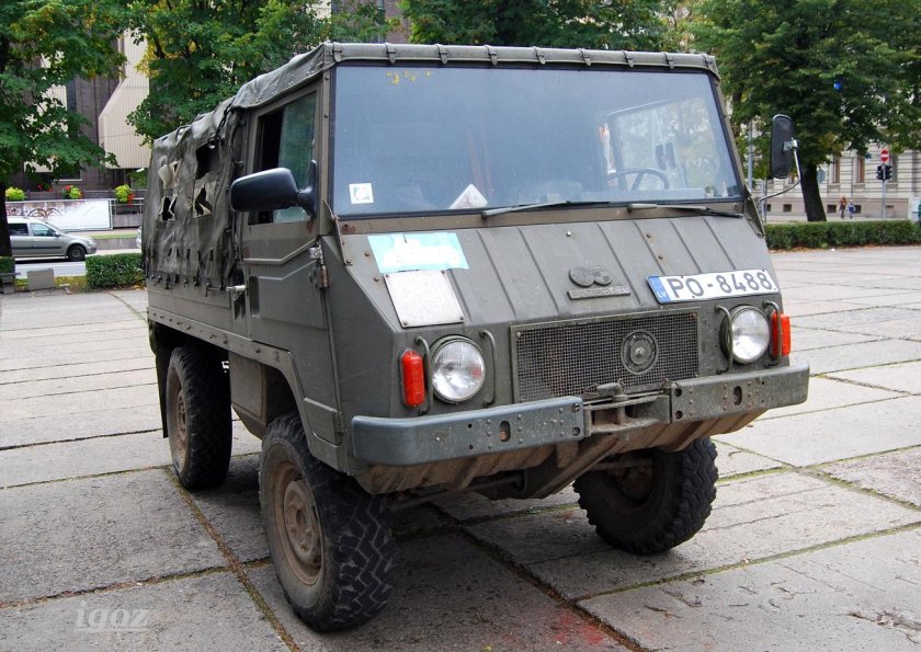 Штейер Даймлер пух