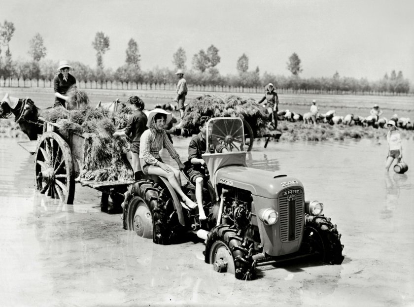 Трактора 70х