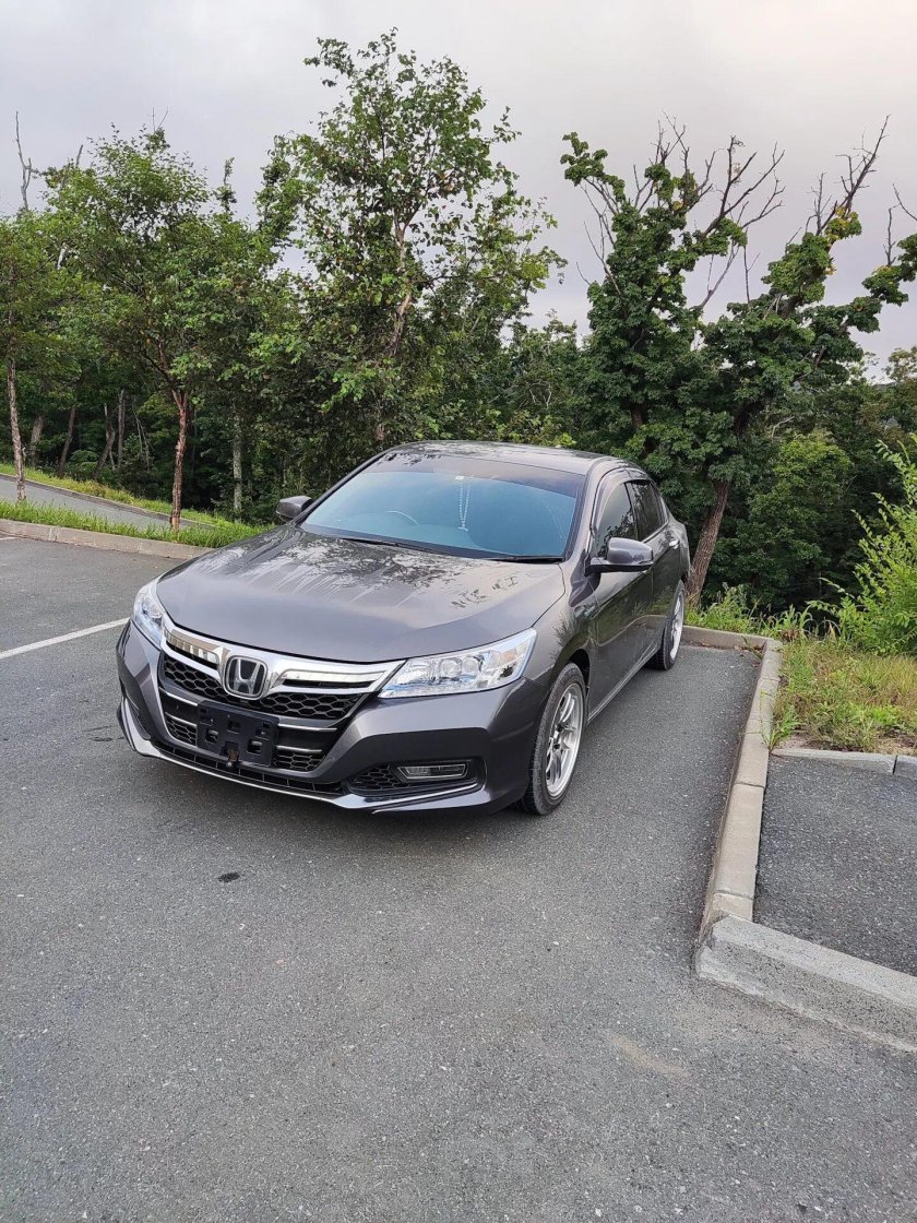 Аккорд гибрид новый серая