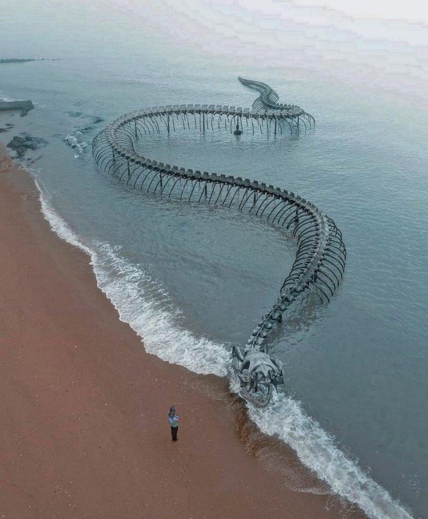 Loire Франции скелет змеи