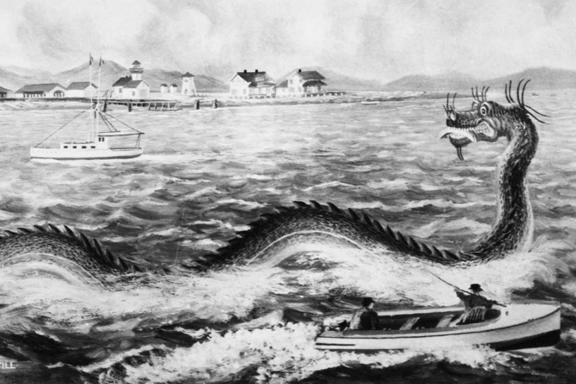 Кадборозавр ( Кэдди)