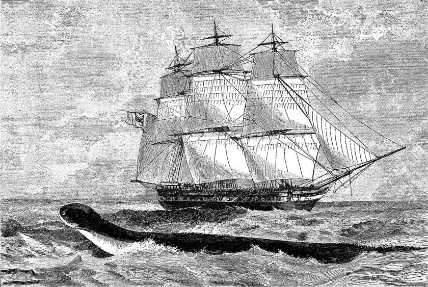 Парусник гравюра