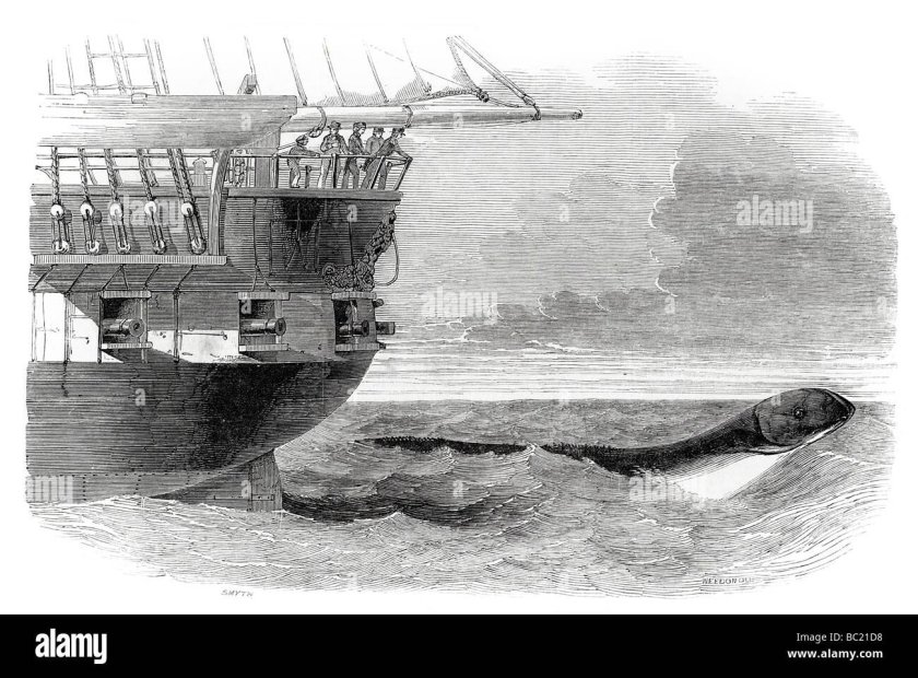 Николай Непомнящий морской змей