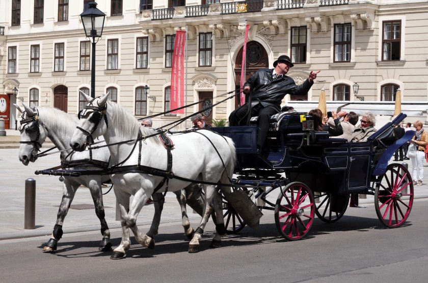Фиакр в Вене