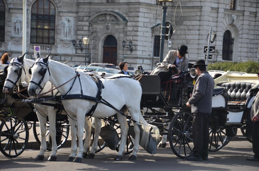 Святой Фиакр