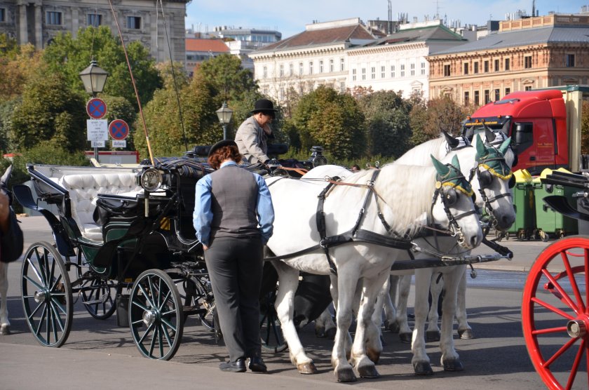 Святой Фиакр
