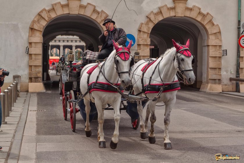 Венские фиакры