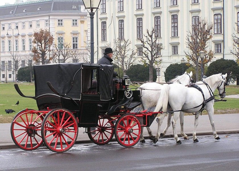 Что такое Фиакр 3 класс окружающий мир