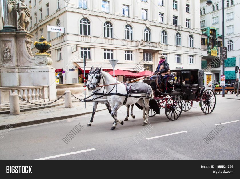 Конные экипажи в Вене