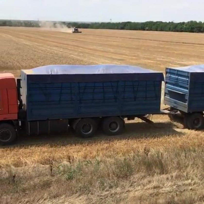 КАМАЗ 6520 зерновоз мамонт