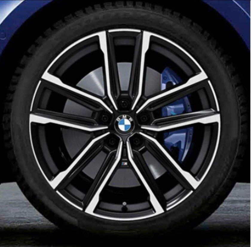 BMW r20 Double spoke 718 m bicolor