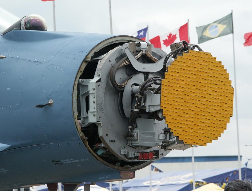 Афар БРЛС Жук