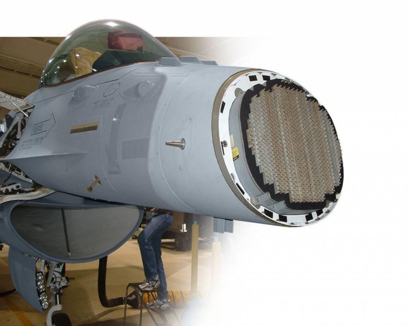 Афар БРЛС Жук