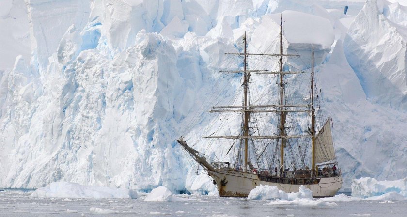 Парусник Амазон в Антарктиде