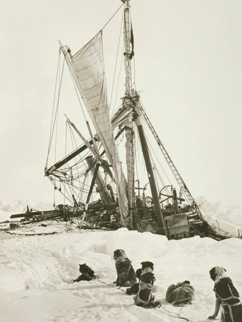 Экспедиция Шеклтона в Антарктиду 1914